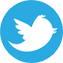 twitter icon